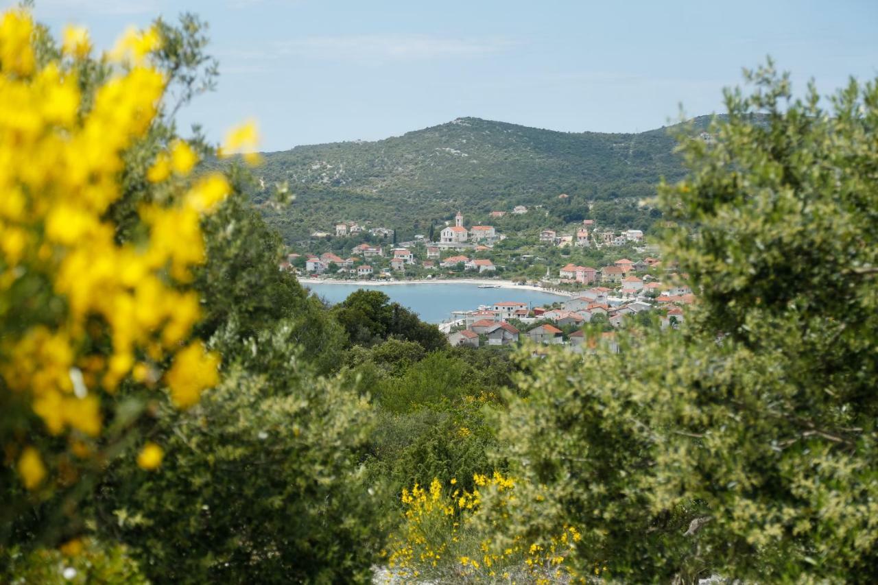 Apartman Paula 1 Apartment Vinišće Екстериор снимка